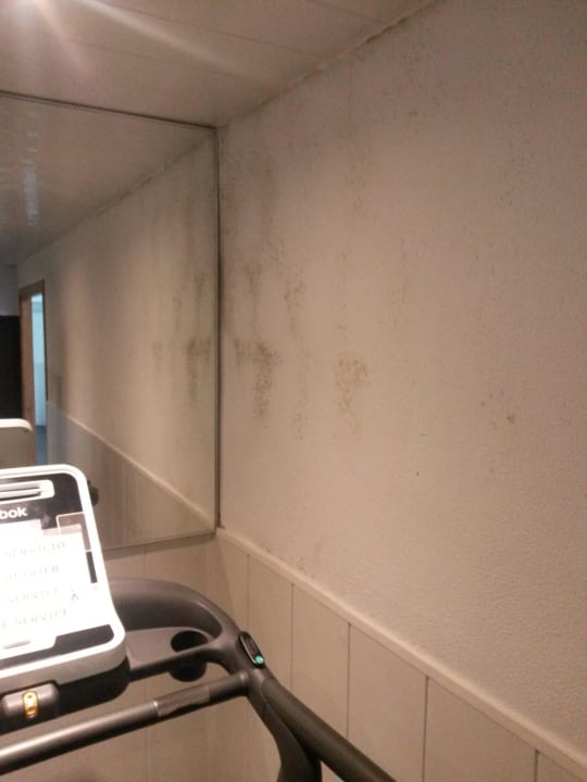 Schimmel im Fitnessstudio HSM Golden Playa