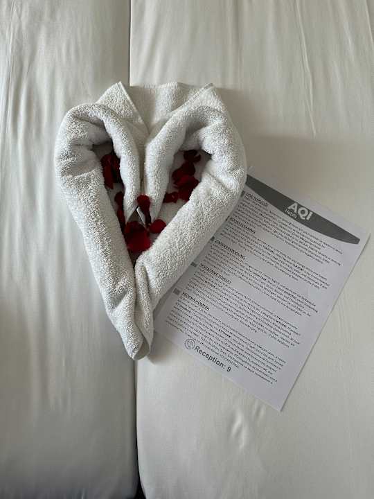 Zimmer AQI Pegasos Club