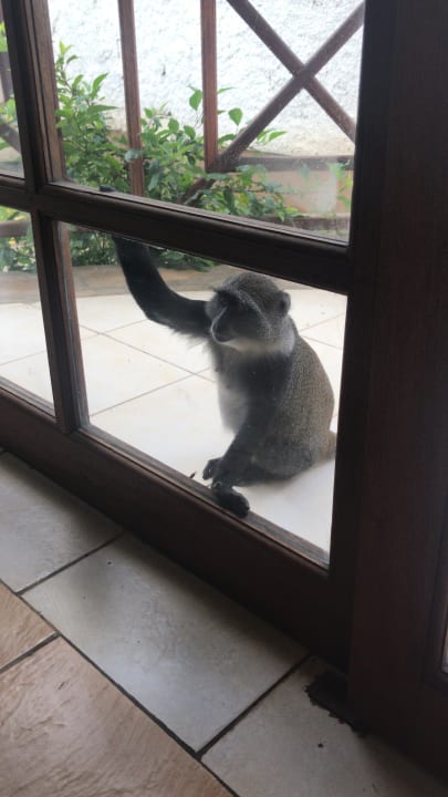 Sonstiges Neptune Village Beach Resort & Spa