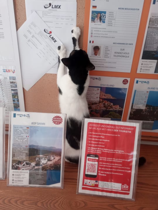 Lobby Dionysos Hotel