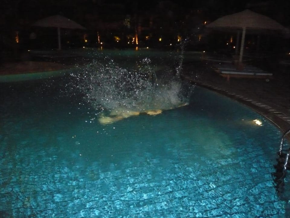 Nachtbaden im Pool Charmillion Gardens Aquapark