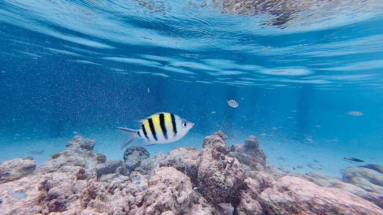 Sport & Freizeit Meeru Maldives Resort Island