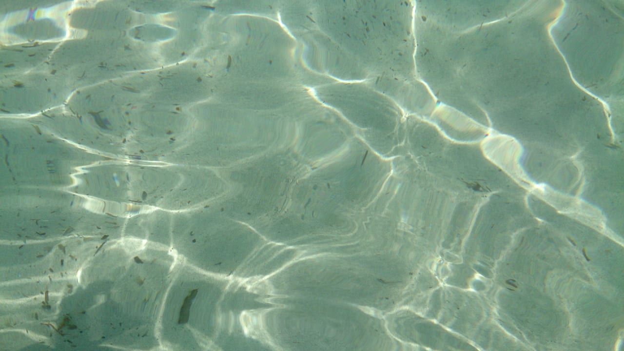 Superklares Meer allsun Hotel Eden Alcudia