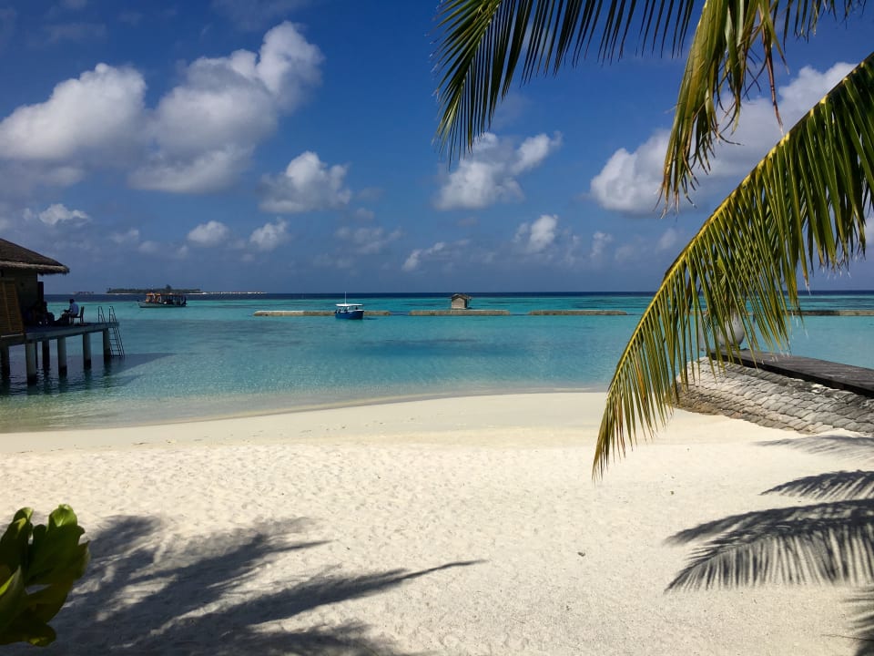 Strand Outrigger Maldives Maafushivaru Resort