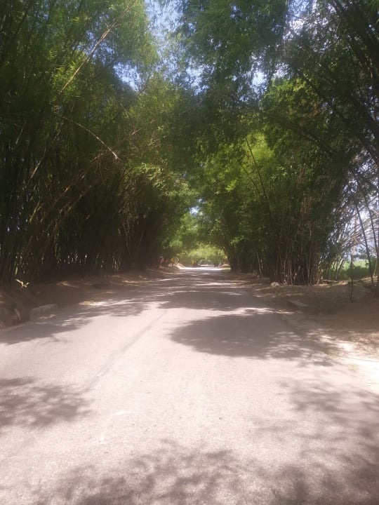 Gartenanlage Hotel Riu Negril