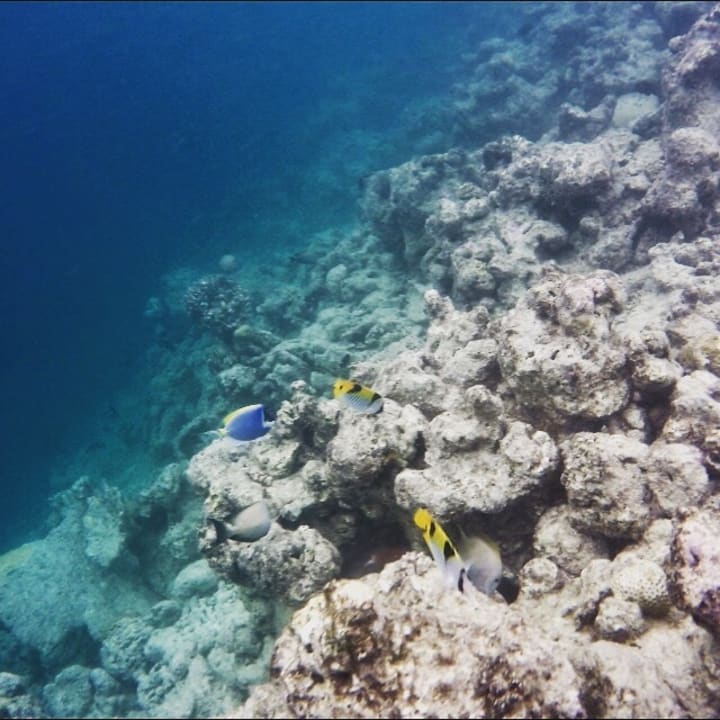 Hausriff Dreamland The Unique Sea & Lake Resort / Spa