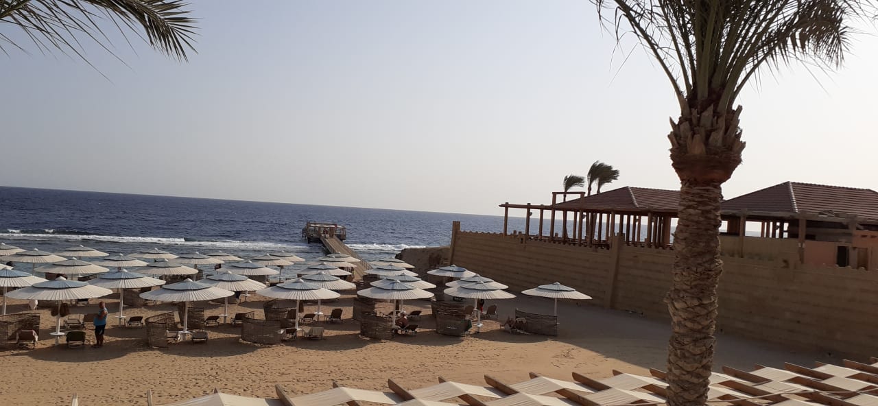 Strand JAZ Neo Reef Marsa