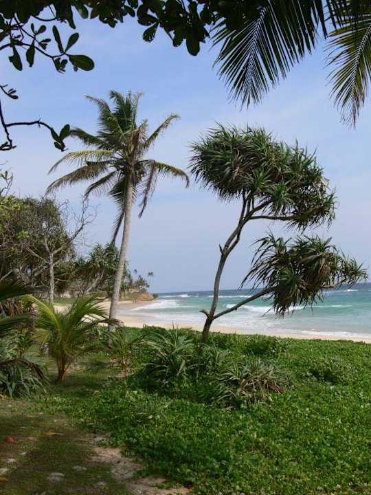 ich will gar nicht mehr heim  Hotel Koggala Beach