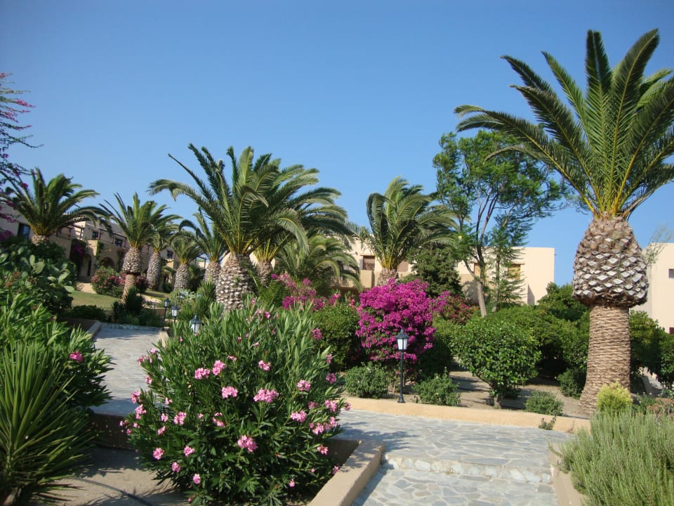 Gartenanlage Porto Bello Beach