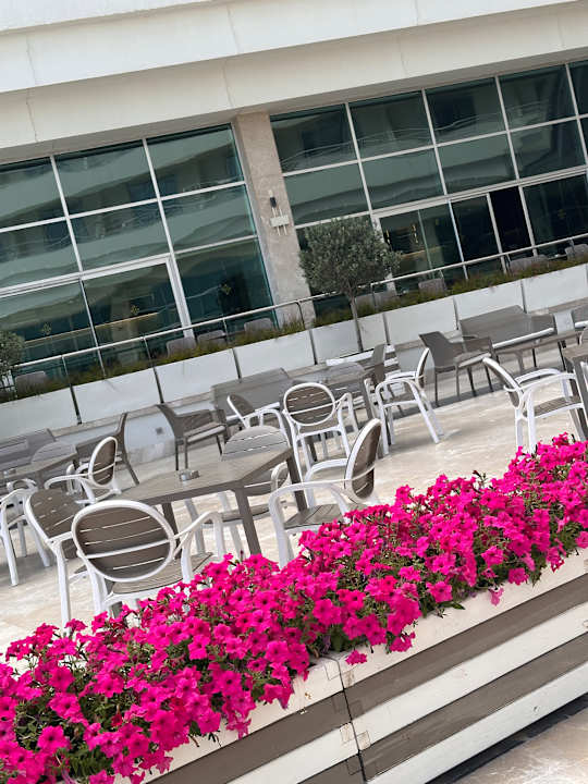 Ausblick Hotel Miracle Resort