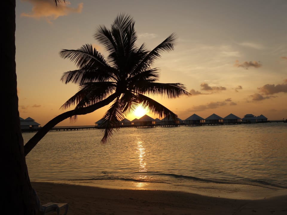 Ohne Worte ananea Diamonds Athuruga