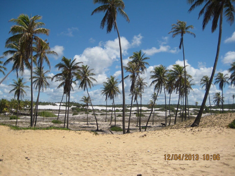 Strand Sauipe Park Hotel Costa do Sauípe Park