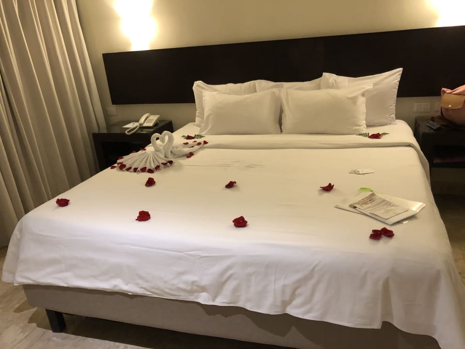 Zimmer Akumal Bay Beach & Wellness Resort