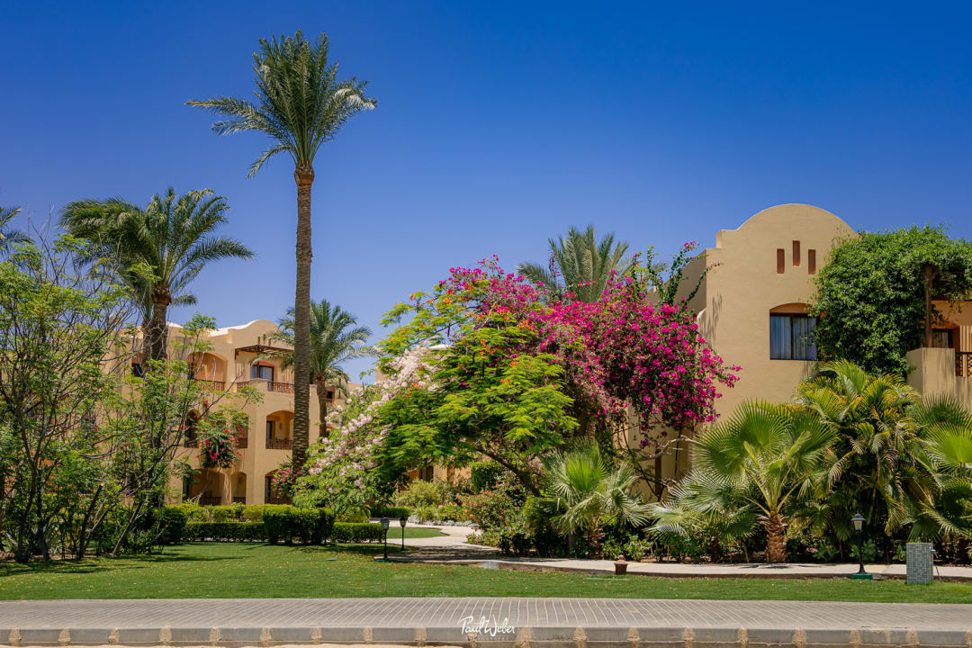 Gartenanlage Steigenberger Coraya Beach - Adults only