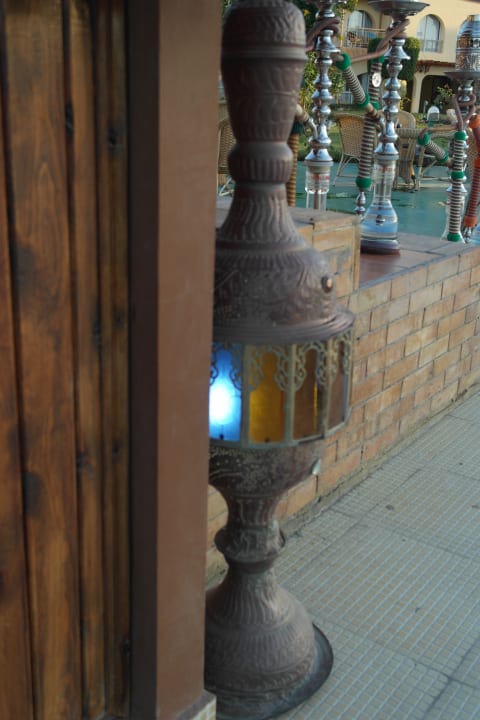 Джин, выходи. Desert Rose