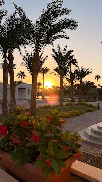 Außenansicht Pharaoh Azur Resort