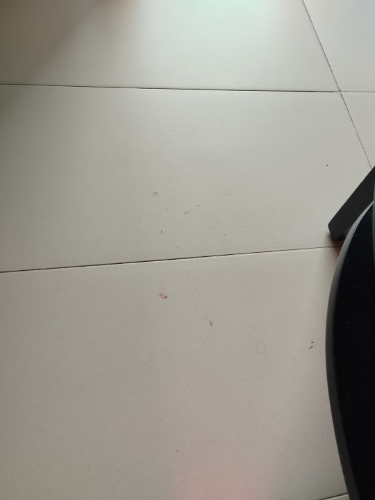 Zimmer Punta Cana Princess All Suites Resort & Spa