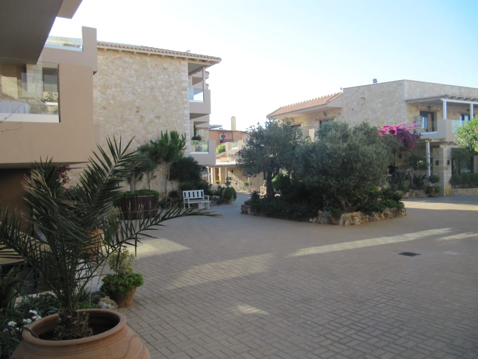 Gartenanlage Cactus Royal