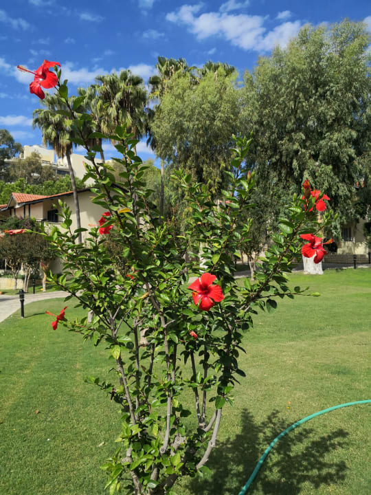 Gartenanlage Melas Holiday Village