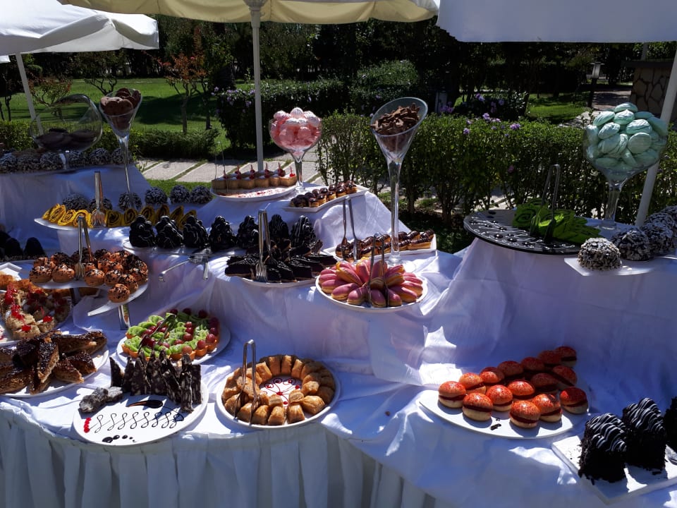Gastro Asteria Collection Side