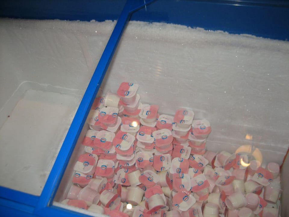 Teil vom Abendessen Hotel Yellow Praia Monte Gordo