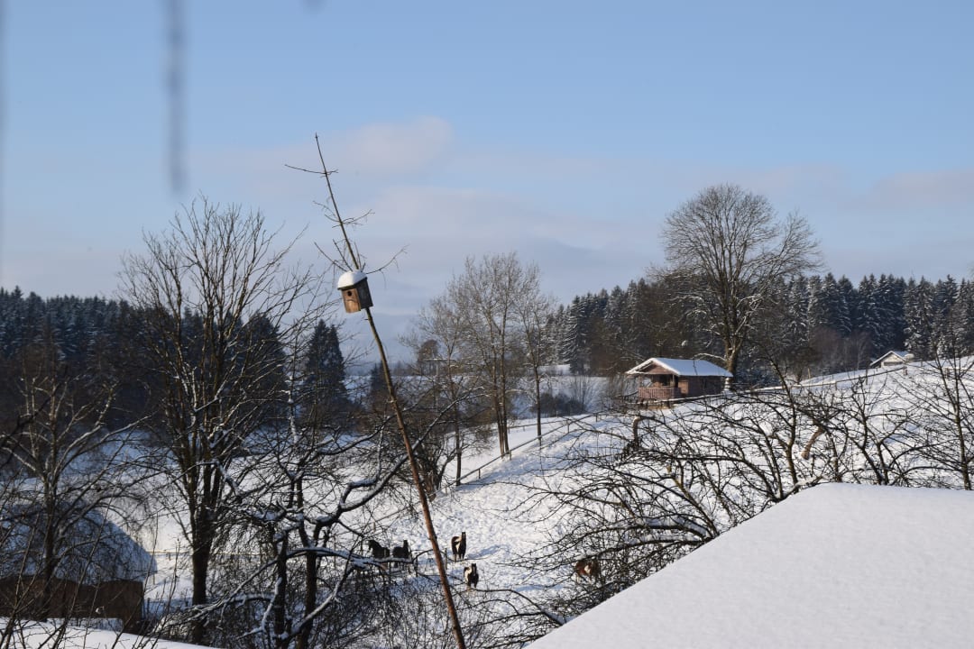 Ausblick Weidererhof