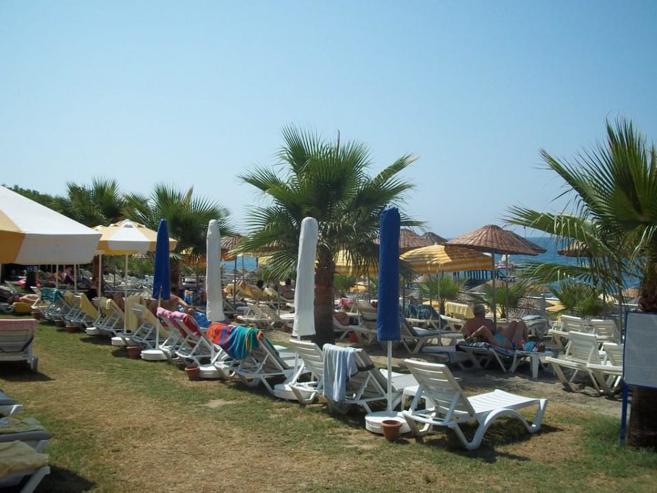Die Liegen am Strand Club Dizalya