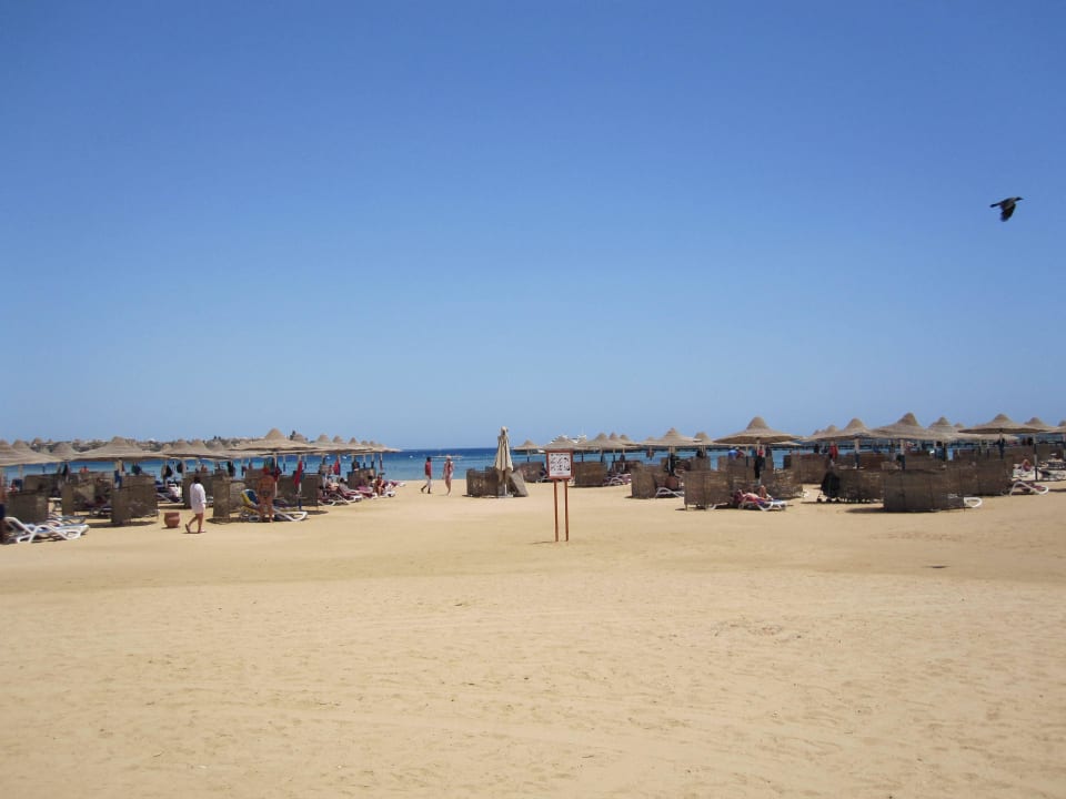 Der riesig lange Strand Cleopatra Luxury Resort Makadi Bay