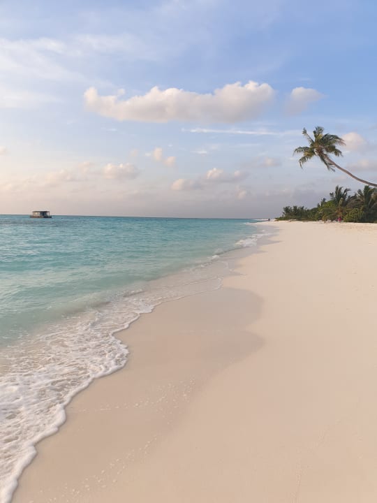 Strand Meeru Maldives Resort Island