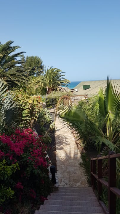 Gartenanlage Marina Playa Suite Hotel