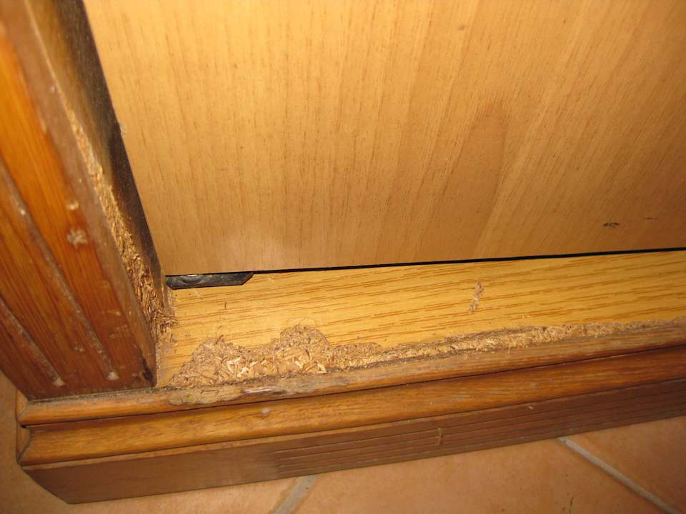 Kühlschrank Riviera Spa Resort - Adults Only