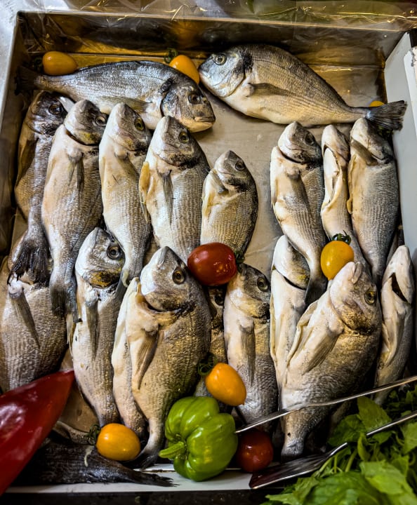 Gastro Sunprime C-Lounge