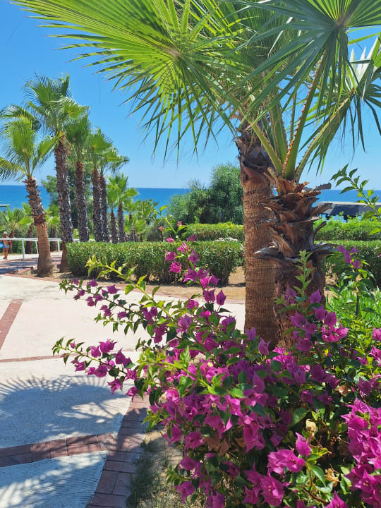 Ausblick Alba Resort Hotel