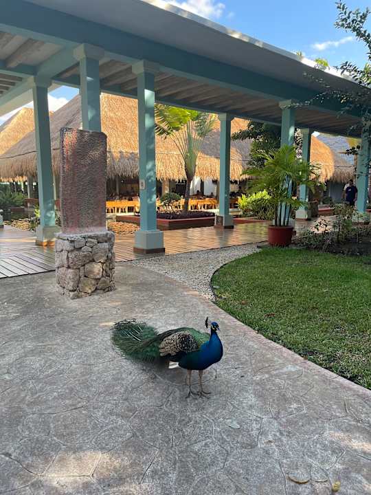 Außenansicht Iberostar Waves Tucan