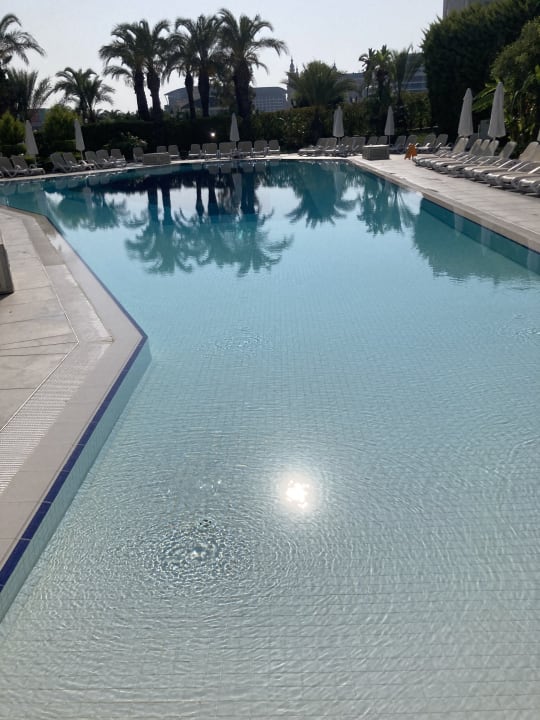 Pool Royal Wings Hotel