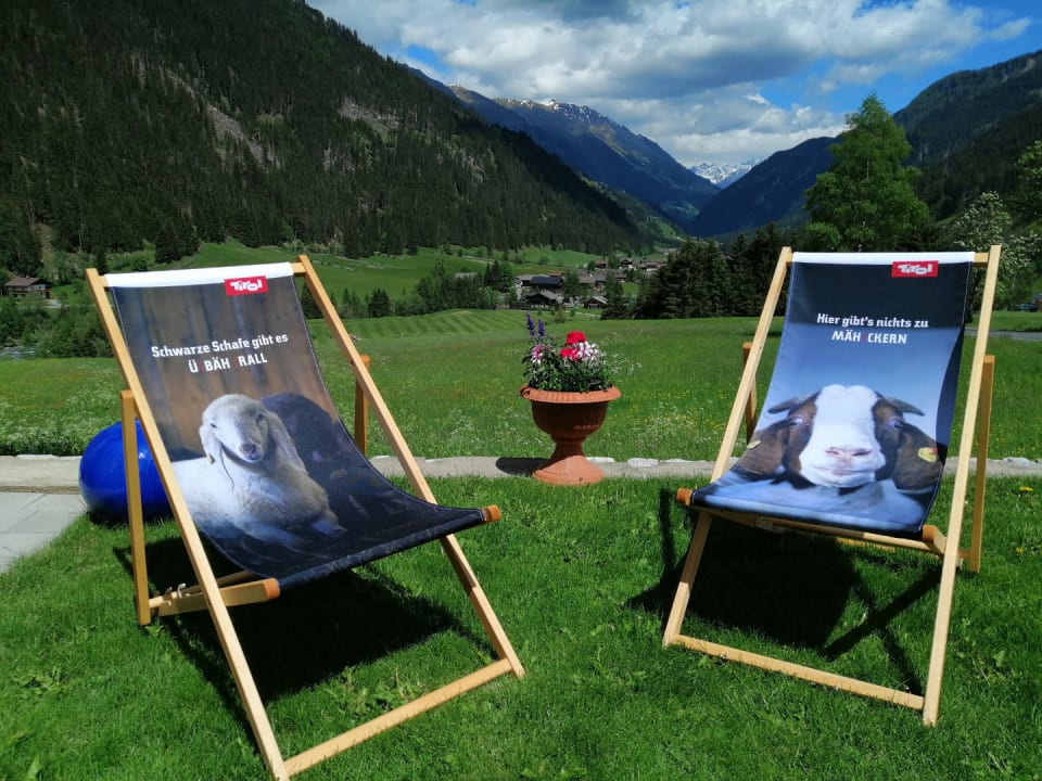 Gartenanlage Haus Veidlis