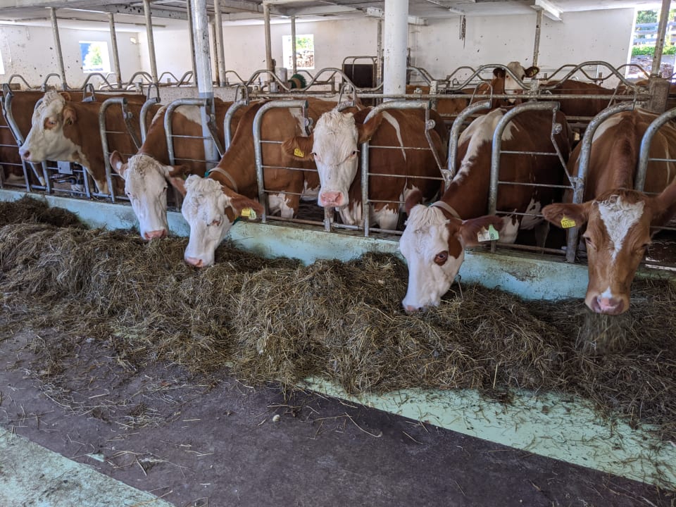 Sonstiges Bauernhof Vorderoberlehen