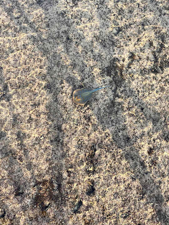 Strand Lazuli Hotel Marsa Alam