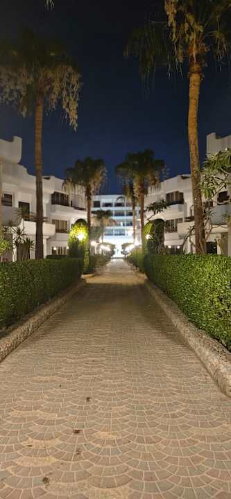 Gartenanlage Marlin Inn Azur Resort