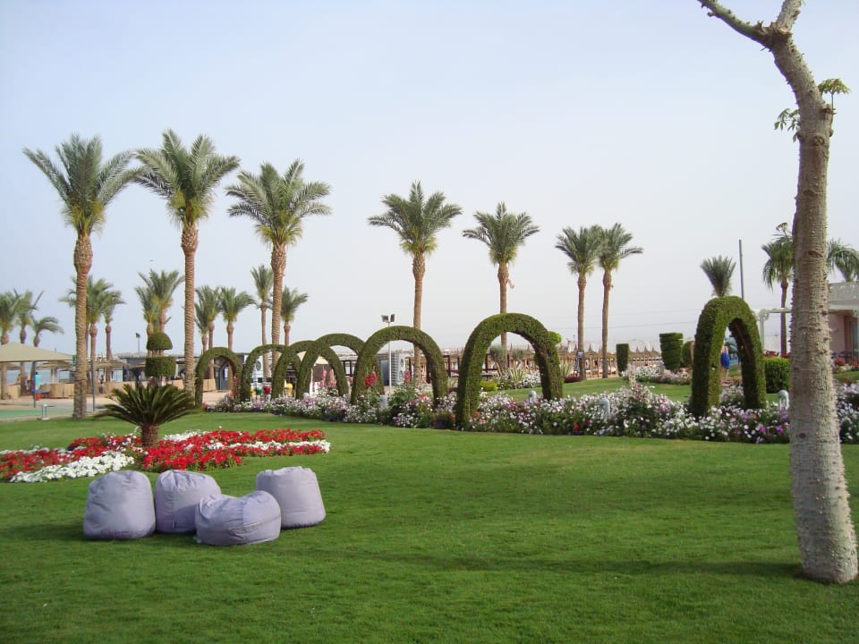 Gartenanlage Beach Albatros Resort