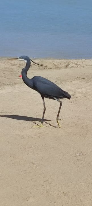 Strand Casa Mare Resort