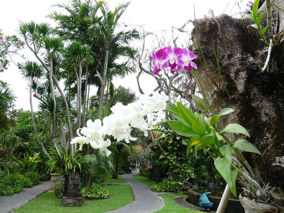 Hotel Puri Santrian Puri Santrian