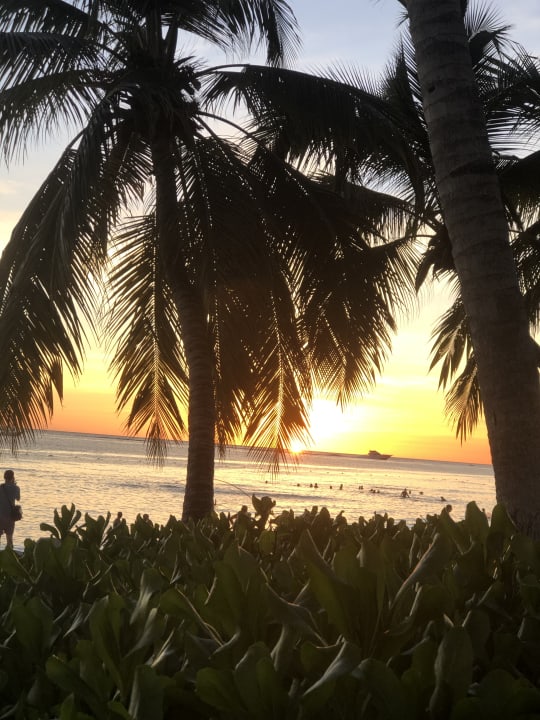 Strand Hotel Viva Dominicus Palace by Wyndham-All Inclusive Resort