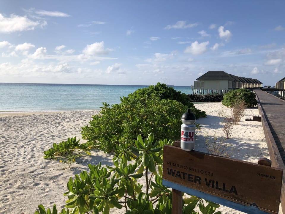 Strand Summer Island Maldives