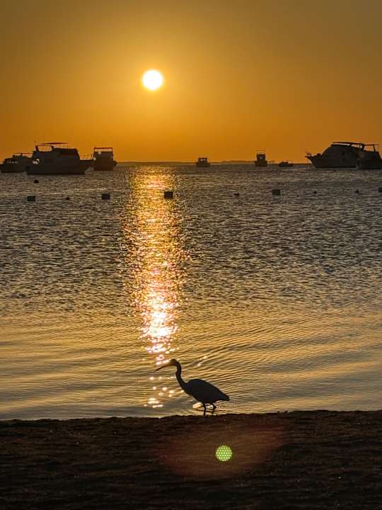 Strand The Grand Palace - Adults only