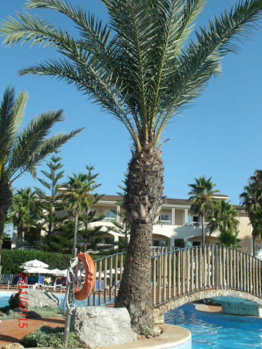 Playa Garden Playa Garden Selection Hotel & Spa