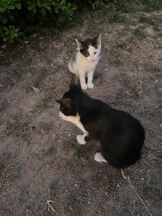 Sonstiges TUI BLUE Palm Garden