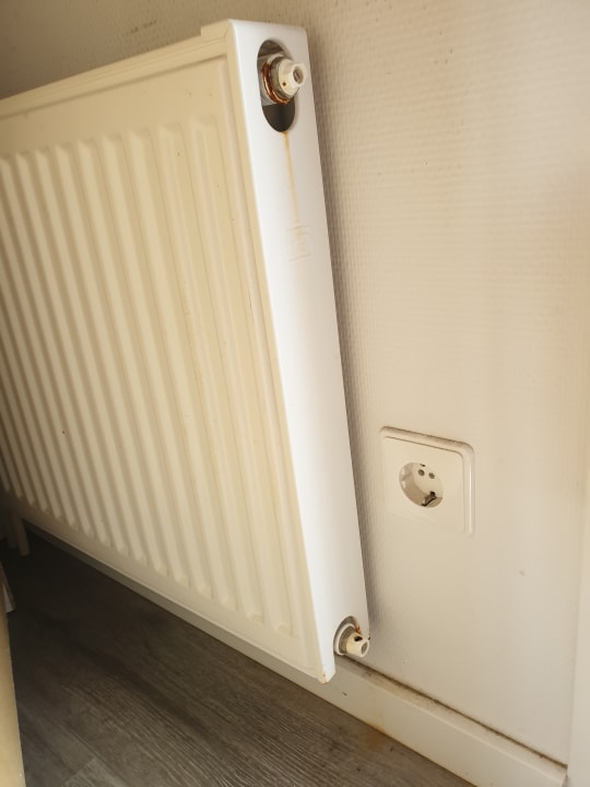 Zimmer EuroParcs De Rijp