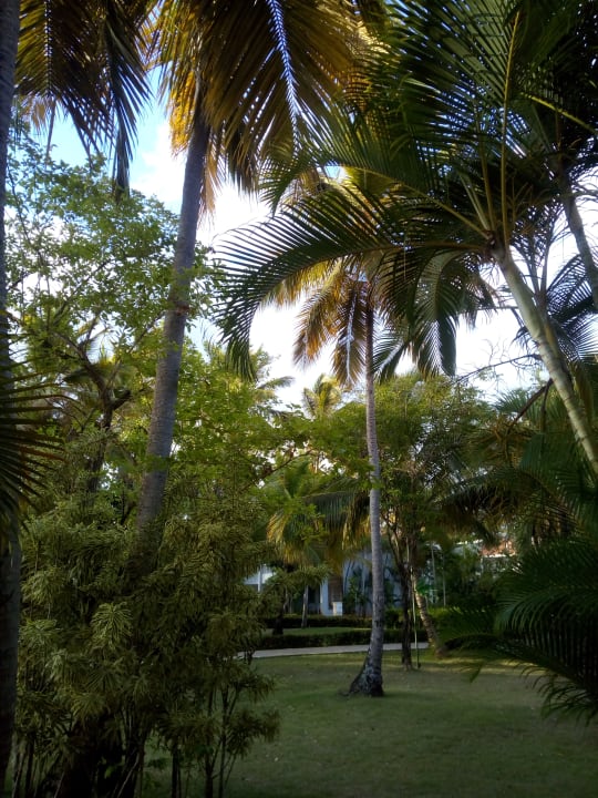 Garten Wyndham Alltra Samana