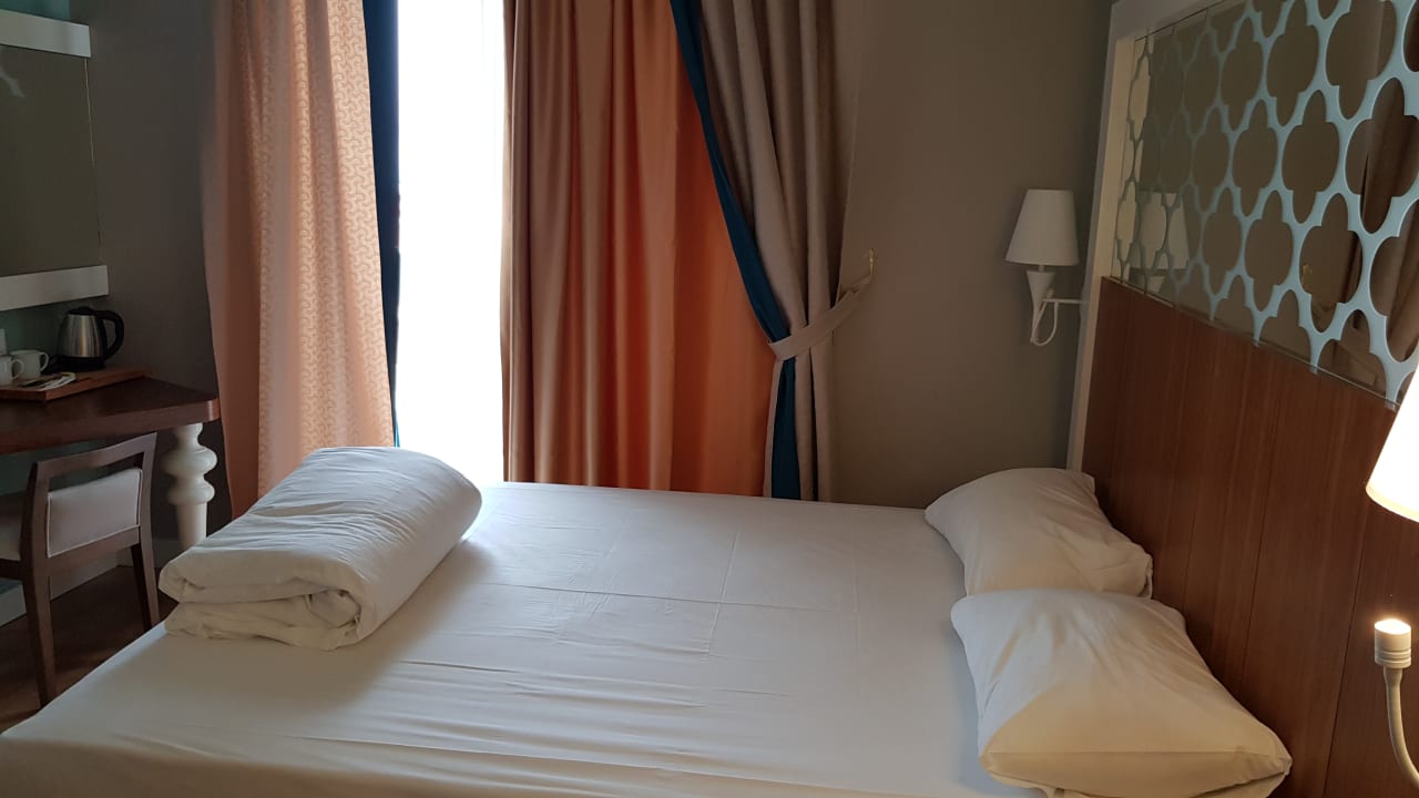 Zimmer Seashell Vega